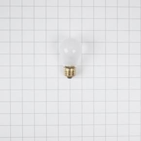 Appliance Light Bulb